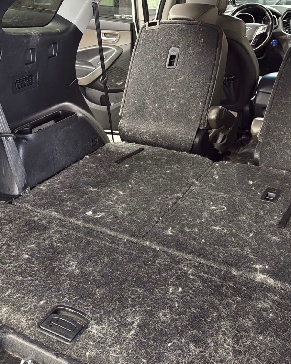 SUV cargo area covered in pet hair