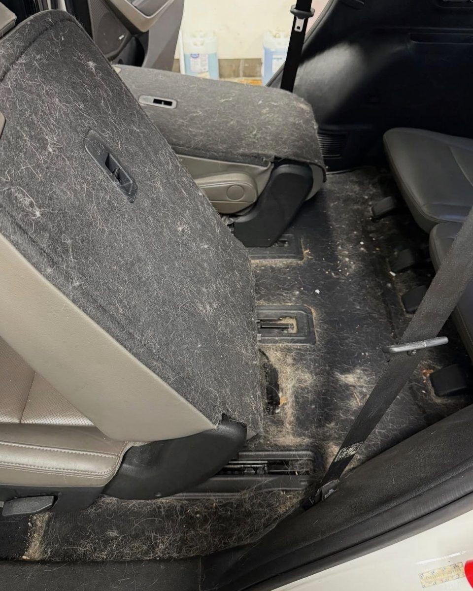 SUV third-row floor matted with pet hair